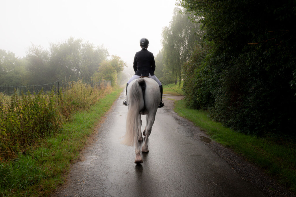 A picture of a female rider on her way to the arena for an equestrian tournament 2024 in germany. Its a foggy day and on the right are serveral bushes. On the left you can see the fence of a pasture.