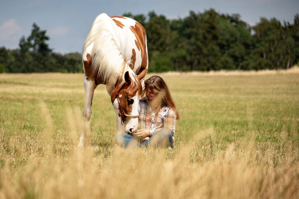 Photography of a paint horse and her owner, whom is sitting on a field